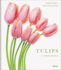 Tulips (Tp)