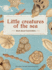 Little Creatures of the Sea-Book About Foraminifera: Book About Foraminifera