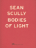 Sean Scully: Bodies of Lights (English and Spanish Edition)