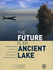 The Future is an Ancient Lake: Traditional Knowledge, Biodiversity and Genetic Resources for Food and Agriculture in Lake Chad Basin Ecosystems