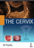 The Cervix