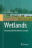 Wetlands: Integrating Multidisciplinary Concepts