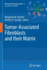 Tumor-Associated Fibroblasts and their Matrix