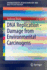 DNA Replication - Damage from Environmental Carcinogens