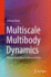 Multiscale Multibody Dynamics