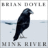 Mink River: a Novel