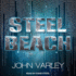 Steel Beach (the Eight Worlds Series)