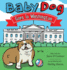 Baby Dog Goes to Washington