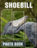 Shoebill Photo Book: Explore The Enigmatic Shoebill Through 40 Stunning Captivating Images And Unique Facts