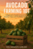 Avocado Farming 101: A Beginner's Guide to Successful Cultivation