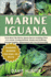 Marine Iguana: Facts About The Marine Iguana Species Including Their Care Needs, Feeding Methods, Health And Wellbeing, Essential Supplies, Maintenance And Cost Of Ownership