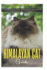 The Himalayan Cat: a Cultural Icon, Their Misconceptions and Enduring Allure of Elegance