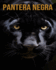 Pantera negra: (Descubre a estos animales)