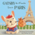 Gatsby the Frenchie: Goes to Paris