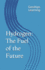 Hydrogen: the Fuel of the Future (Gosships Learning Series)