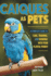 Caiques as Pets: A Complete Guide to Care, Training, and Bonding with Your Playful Parrot