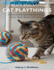 Create Engaging Cat Playthings: Crafting Knitted and Felted Toys Featuring Spirals, Bouncy Balls, and Mice