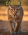 Caracal: Amazing Picture and Facts About Caracal for Children's