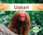 Uakari