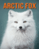 Arctic Fox: Fun Facts Book for Kids with Amazing Photos