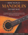 How to Play Mandolin in Easy Way: Learn How to Play Mandolin in Easy Way by this Complete beginner's Illustrated Guide!Basics, Features, Easy Instructions