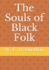 The Souls of Black Folk