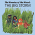 The Big Storm: The Weenies of the Wood