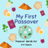 My First Passover