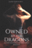 Owned by the Dragons: A Dark Paranormal Reverse-Harem Romance