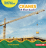 Cranes Format: Paperback