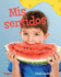 MIS Sentidos: A Wordless Nonfiction Book