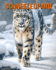 Schneeleopard: Buch mit erstaunlichen Fotos und lustigen Fakten fr Kinder