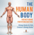 The Human Body