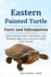 Eastern Painted Turtle: Eastern painted turtle care, health, diet, breeding, cages, pro's and cons and lots more included