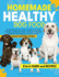 Homemade Healthy Dog Food: Connecting with Your Canine Companion Through Nutritious and Delicious Meals - Discover the Multiple Benefits of Providing Your Furry Friend with the Best Nutrition Possible