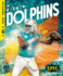 The Miami Dolphins