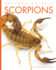 Scorpions