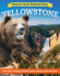 Discover Great National Parks: Yellowstone: Kids' Guide to History, Wildlife, Geysers, Hiking, and Preservation