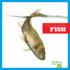 Fish (Find It in Nature! )