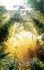 The Spirit of Agape Self-Help From Within: Inspirational Writings of Terry Harvey Ph. D.
