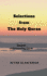 Selections From the Holy Quran: for Students and Youths to Understand the Quran and Its Teachings in Simple Language