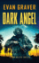 Dark Angel: A Ryan Weller Thriller Book 15