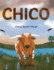 Chico