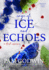 Cage of Ice and Echoes