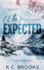 (Un)Expected: A Dislike to Lovers, Small Town Romance