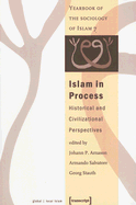 Islam in Process: Historical and Civilizational Perspectives