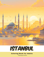 Istanbul Coloring Book for Adults: 40 Pages of Istanbul landmarks