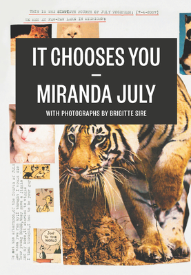 It Chooses You - July, Miranda