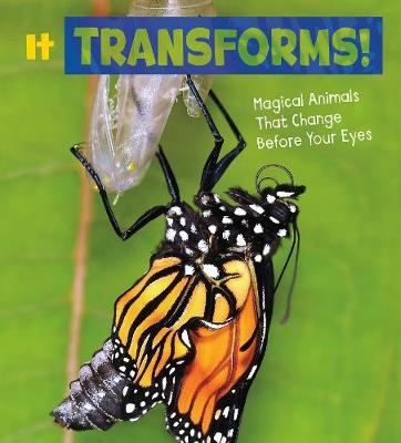 It Transforms!: Magical Animals That Change Before Your Eyes - Potts, Nikki