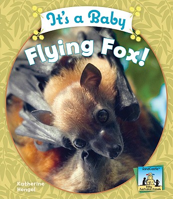 It's a Baby Flying Fox! - Hengel, Katherine